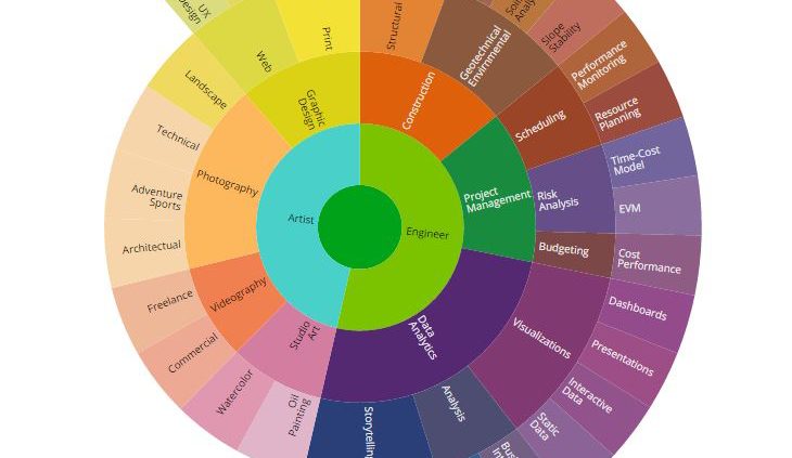 Data Visualization, Sunburst, D3JS, D3, D3.js, Core Competencies